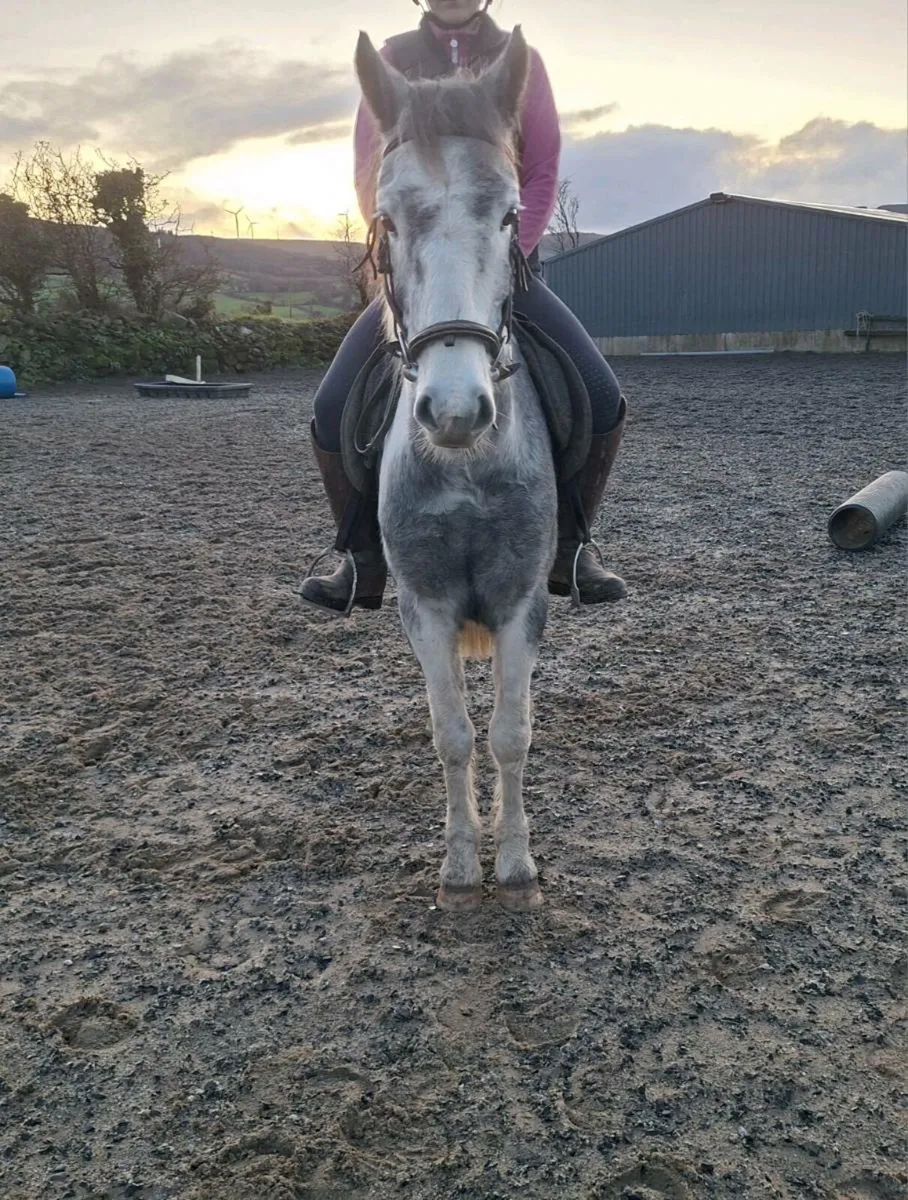 3 for sale see below - Image 4