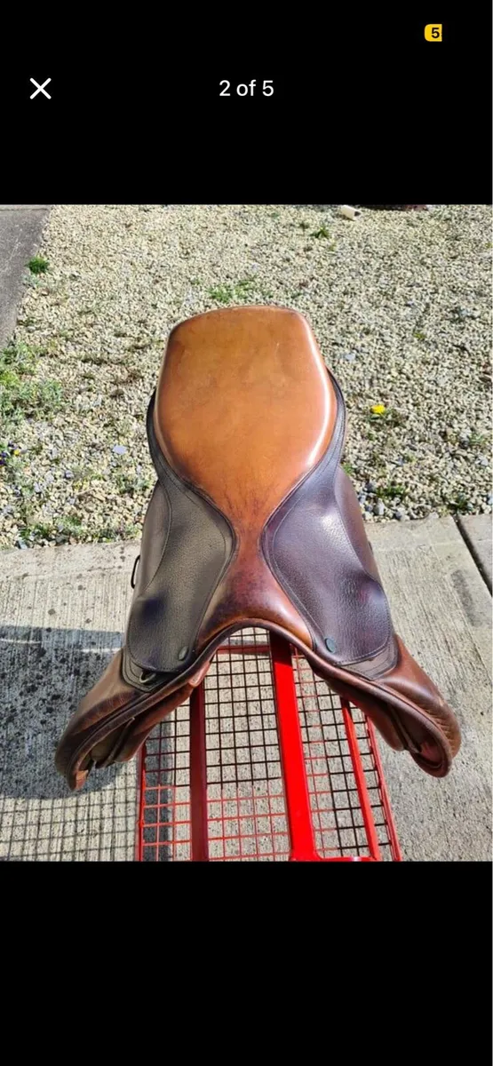 16.5 inch all purpose saddle - Image 2