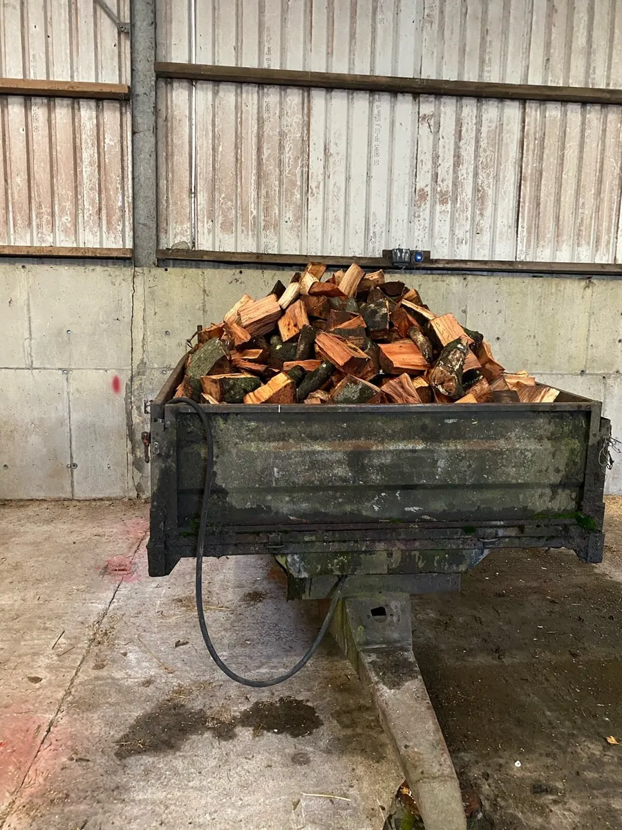 Fire wood - Image 1
