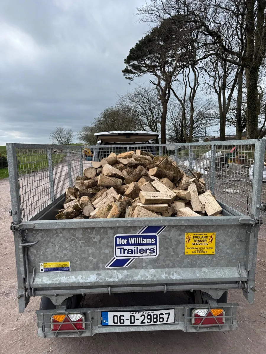 Firewood - Image 4