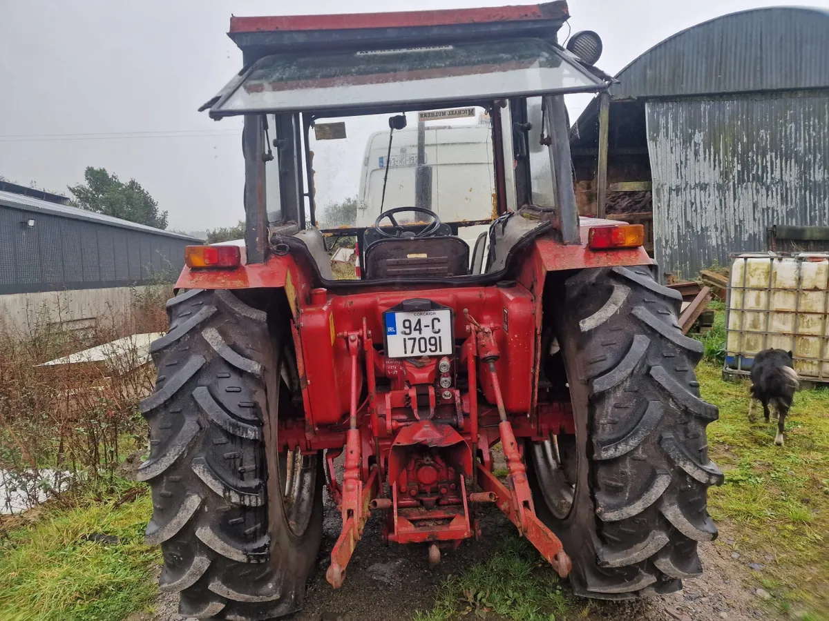 Case 895 Stockman Special - Image 2