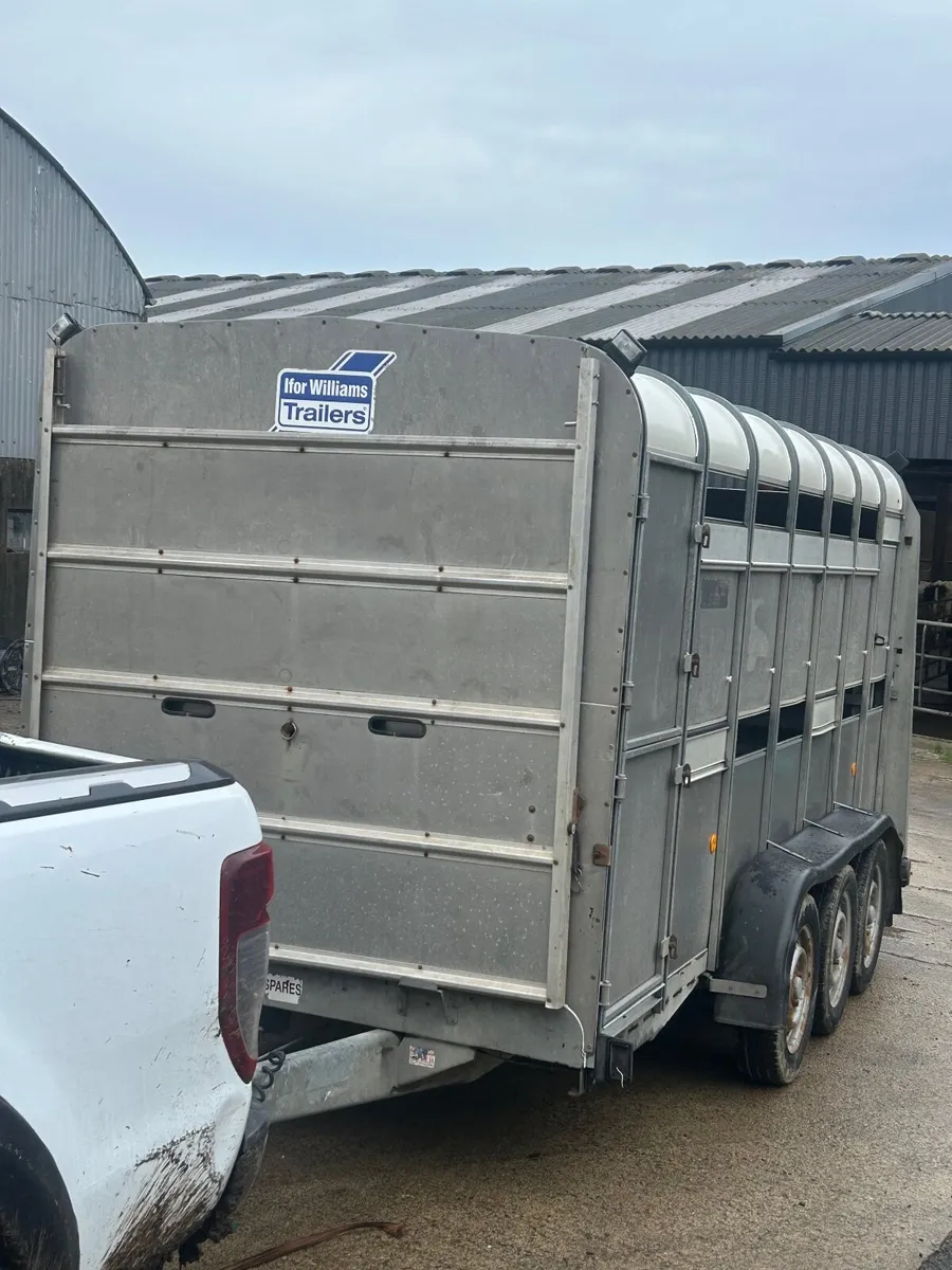Ifor Williams Trailer - Image 1