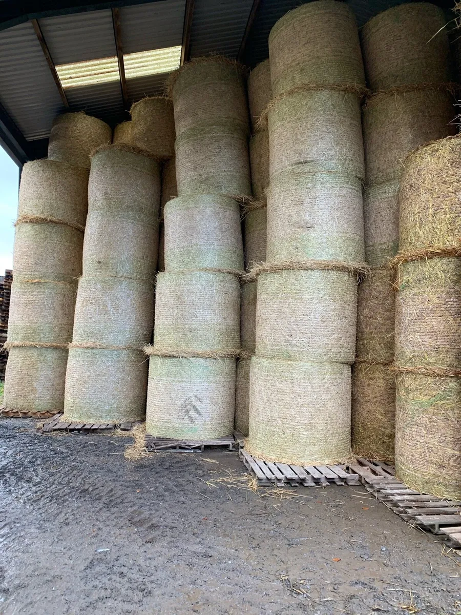 2025  barley  straw Hay - Image 1