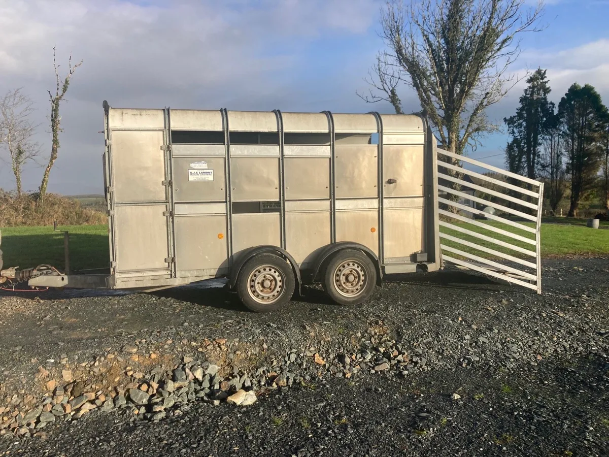 Ifor Williams 12x6 - Image 3