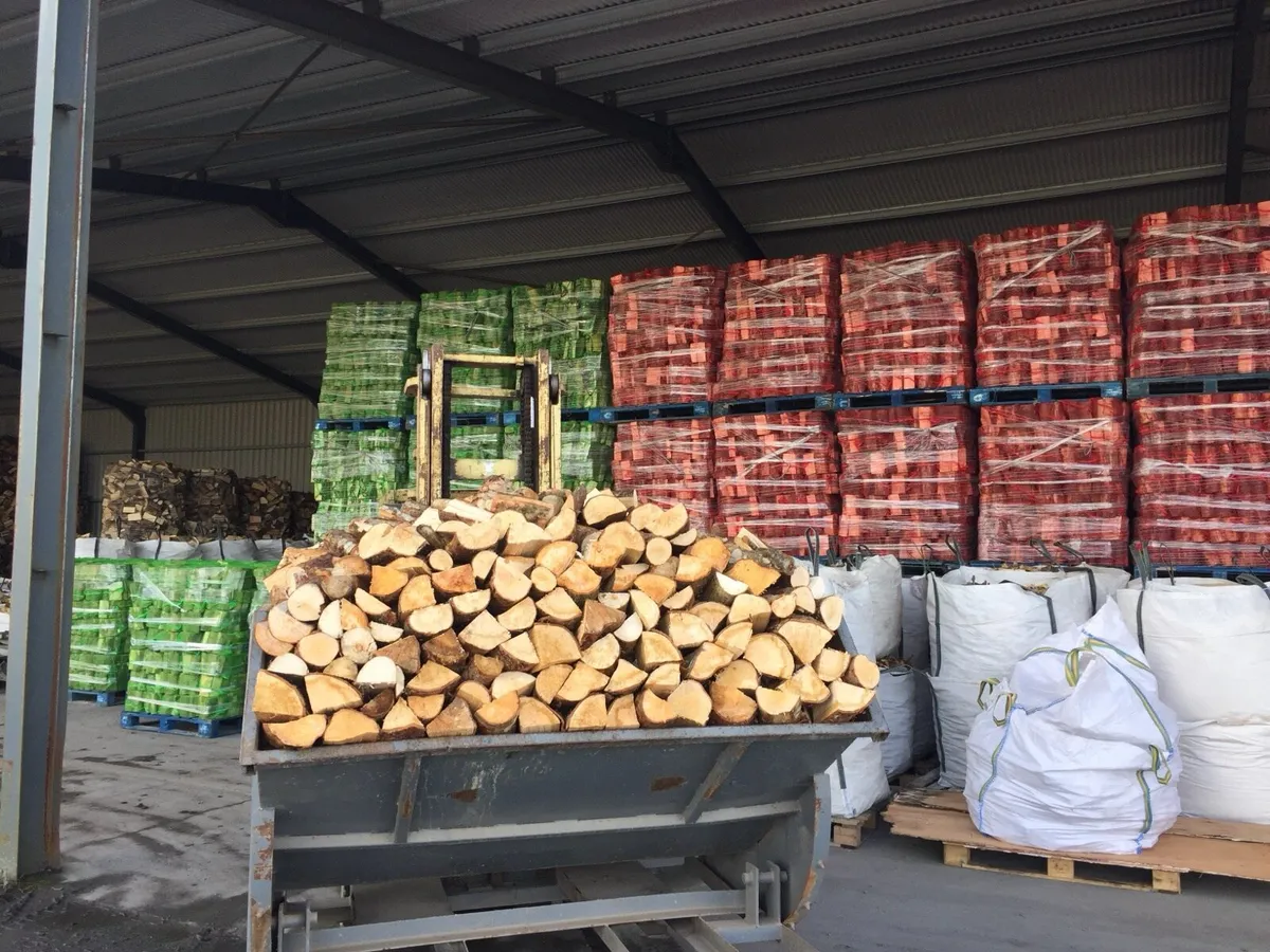 Firewood - Image 4