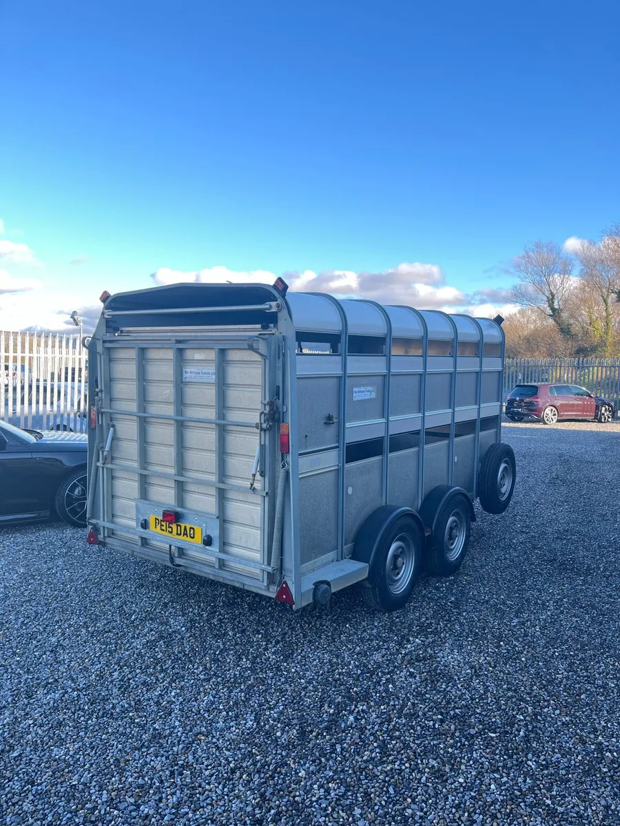 Ifor Williams Sheep Trailer - Image 4