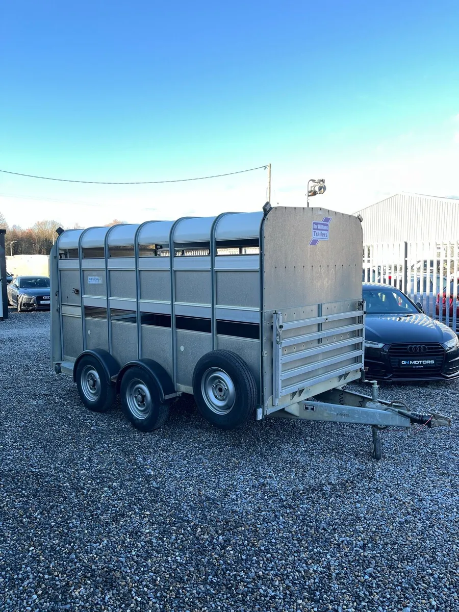 Ifor Williams Sheep Trailer - Image 2