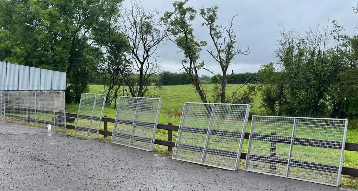 🐾DOG PANELS 🐾 - Image 4