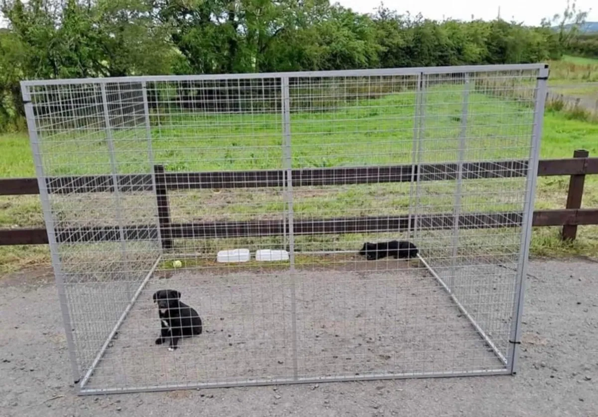 🐾DOG PANELS 🐾 - Image 1