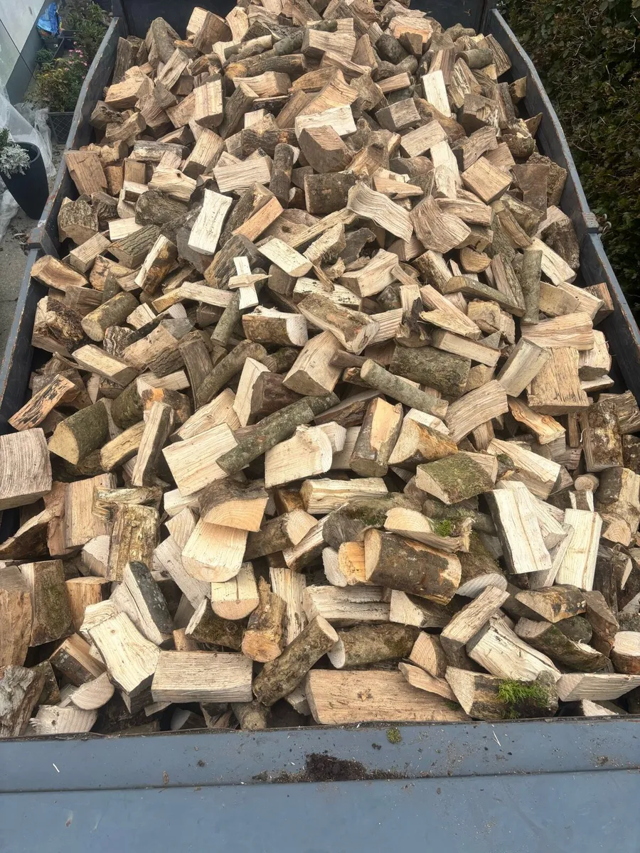Firewood - Image 4