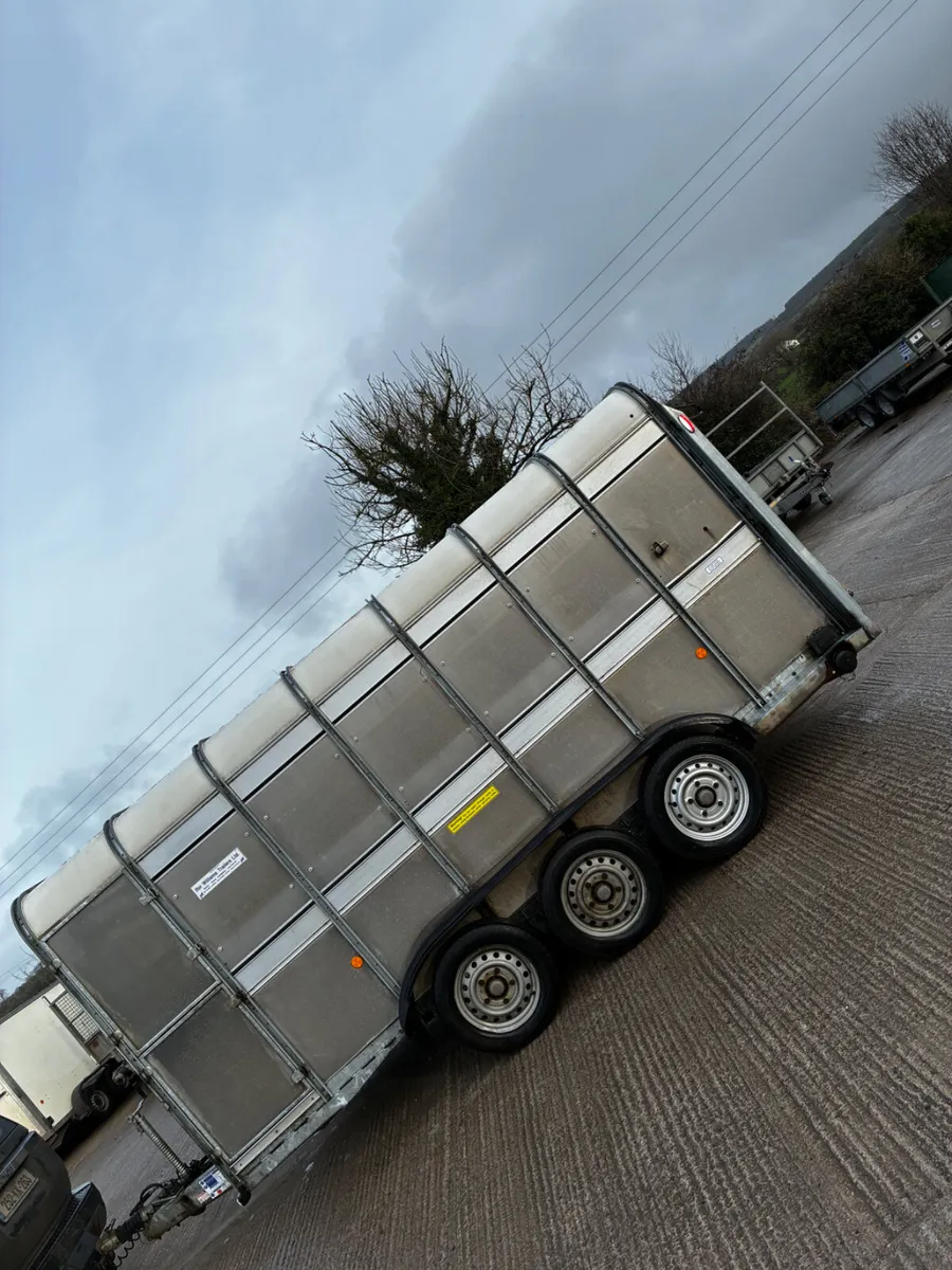 2019 Ifor Williams cattle box no vat - Image 2