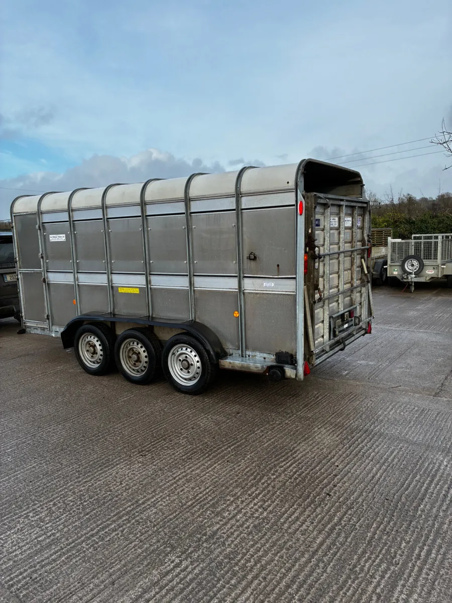 2019 Ifor Williams cattle box no vat - Image 4