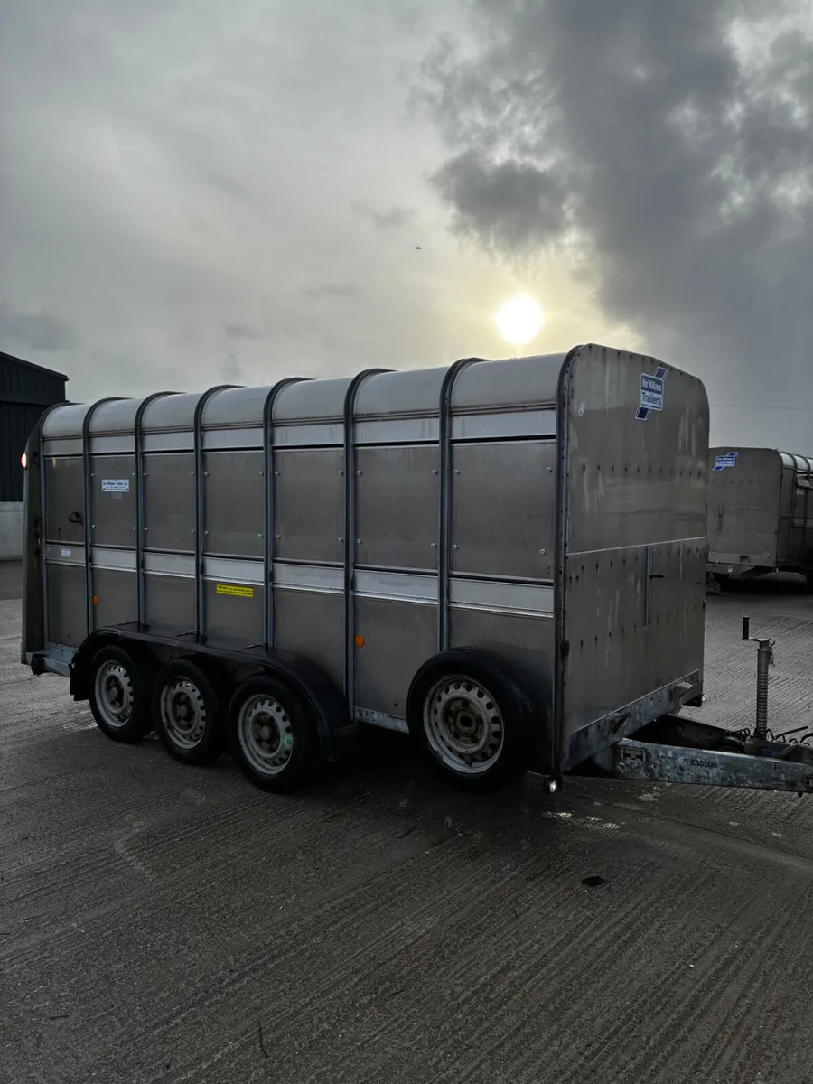 2019 Ifor Williams cattle box no vat - Image 1