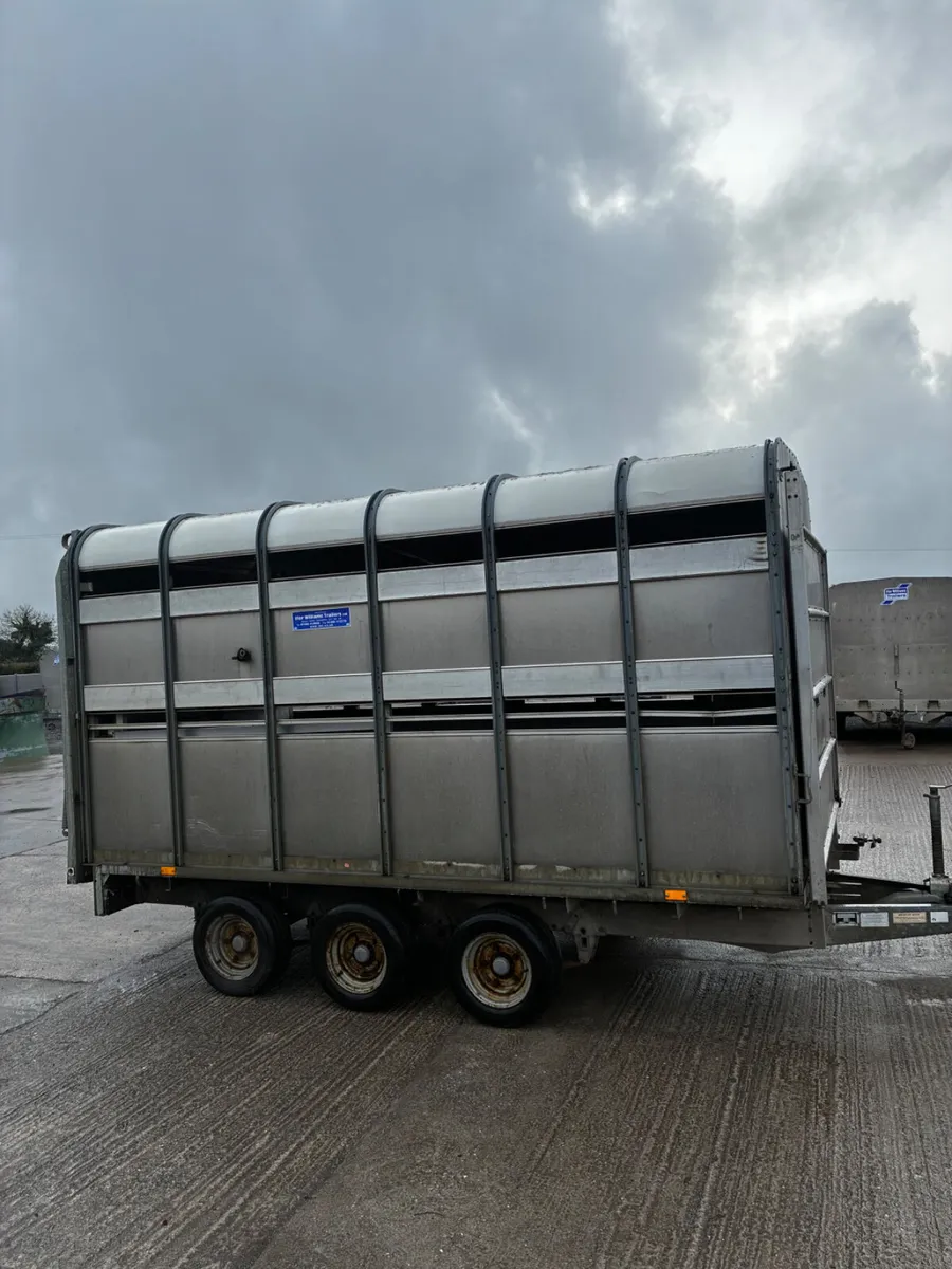 Ifor Williams 12ft tri axel sheep trailer - Image 1