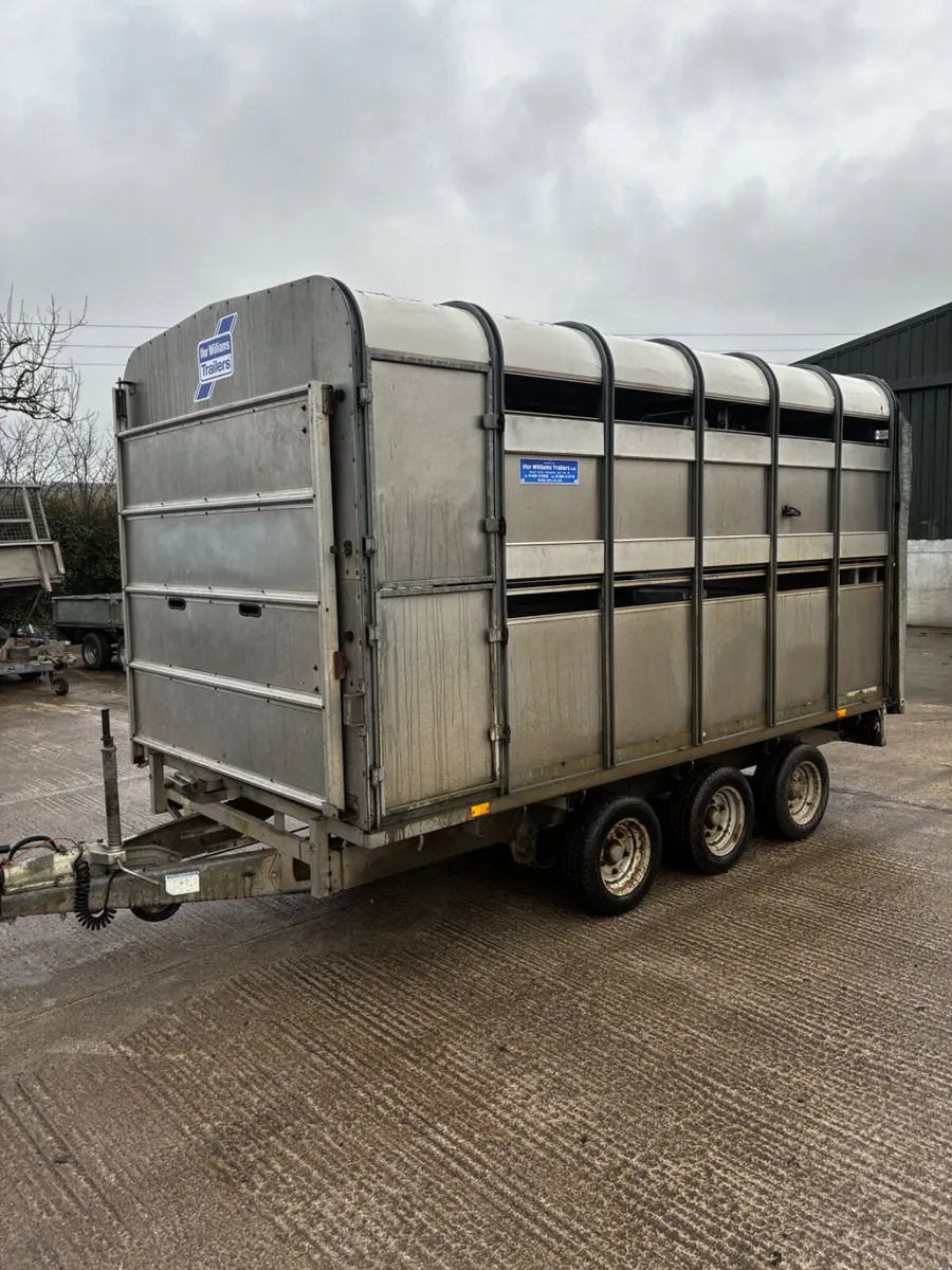 Ifor Williams 12ft tri axel sheep trailer - Image 3
