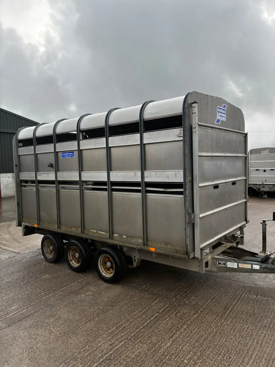 Ifor Williams 12ft tri axel sheep trailer - Image 2