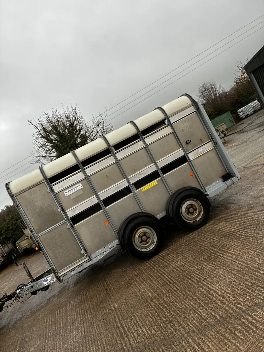 2018 12ft ifor Williams livestock trailer - Image 2