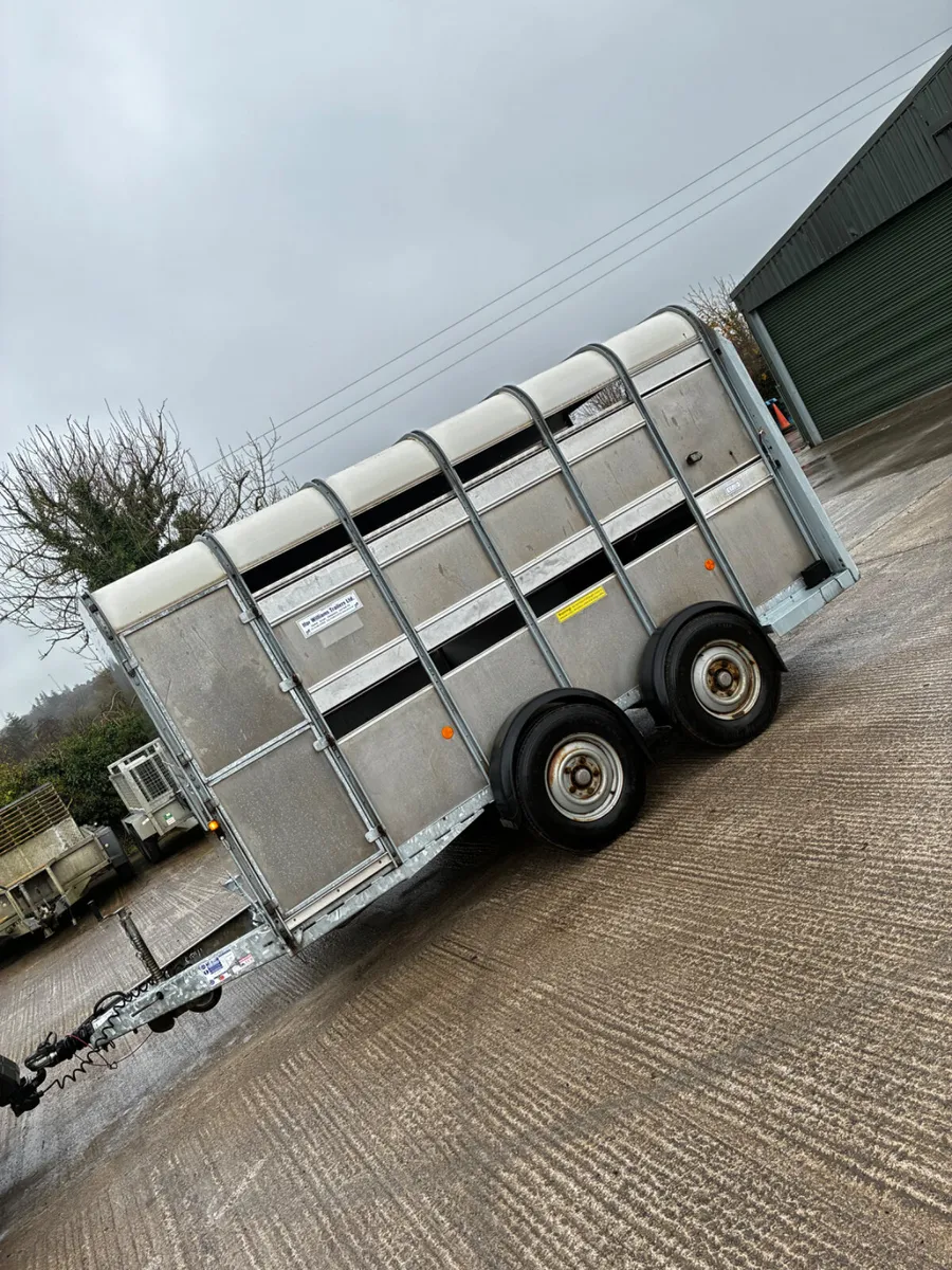 2018 12ft ifor Williams livestock trailer - Image 1