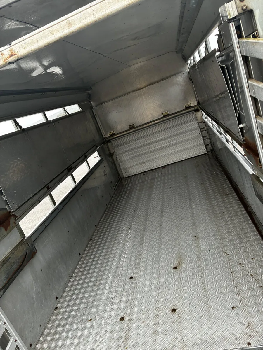 2018 12ft ifor Williams livestock trailer - Image 4