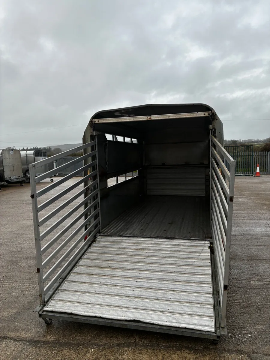 2018 12ft ifor Williams livestock trailer - Image 3