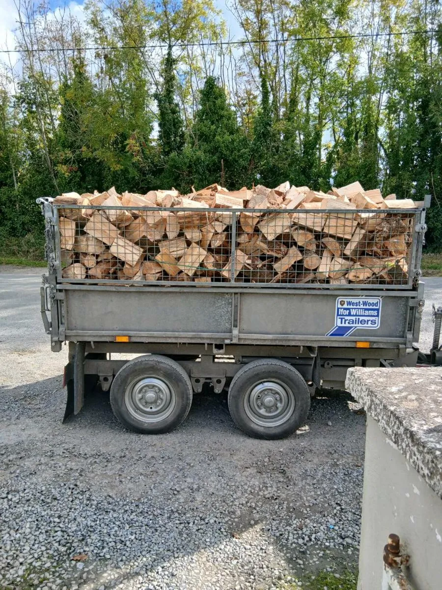 FIREWOOD - Image 2