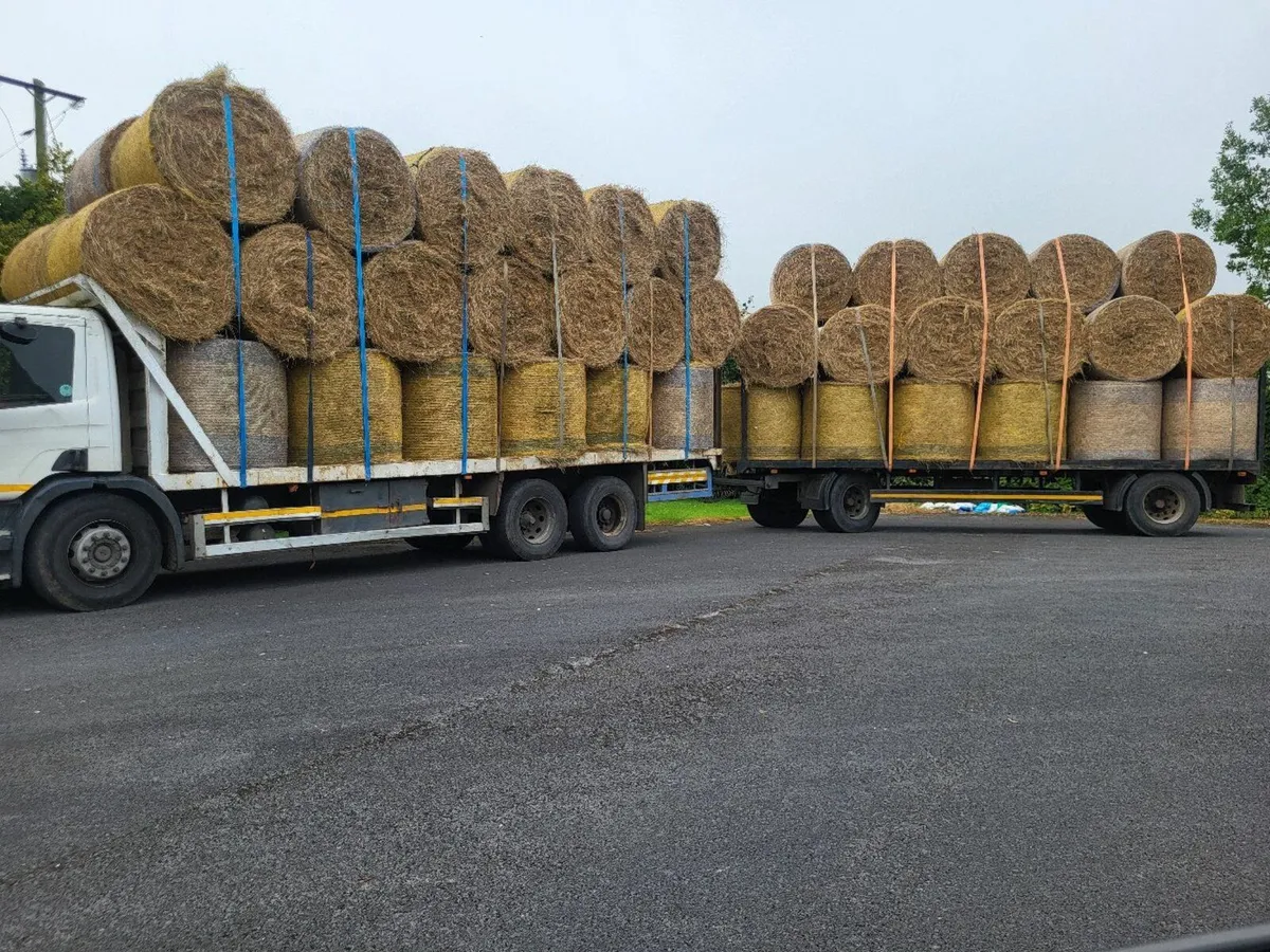IRISH   WHEATEAN Straw chopped Barley and Oaten - Image 2