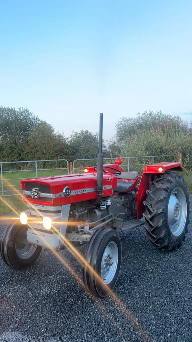 Massey Ferguson 135 - Image 2