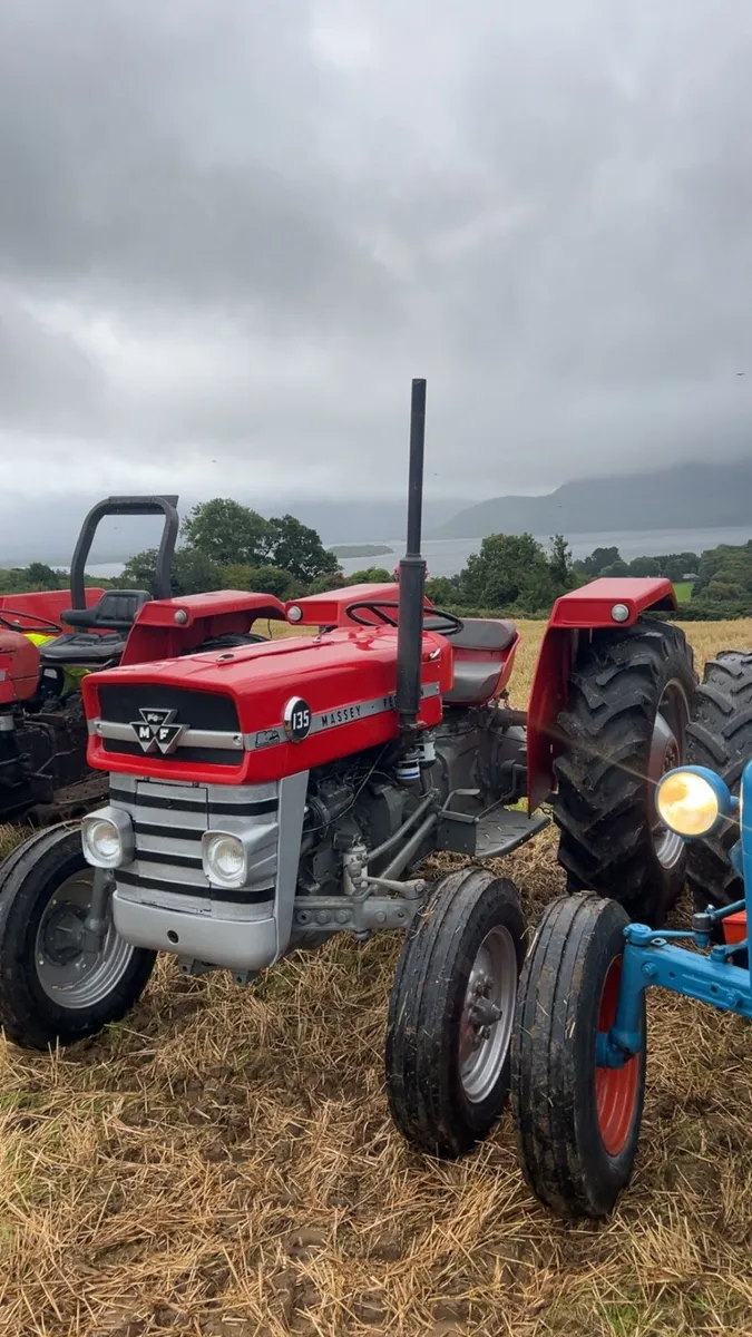 Massey Ferguson 135 - Image 4