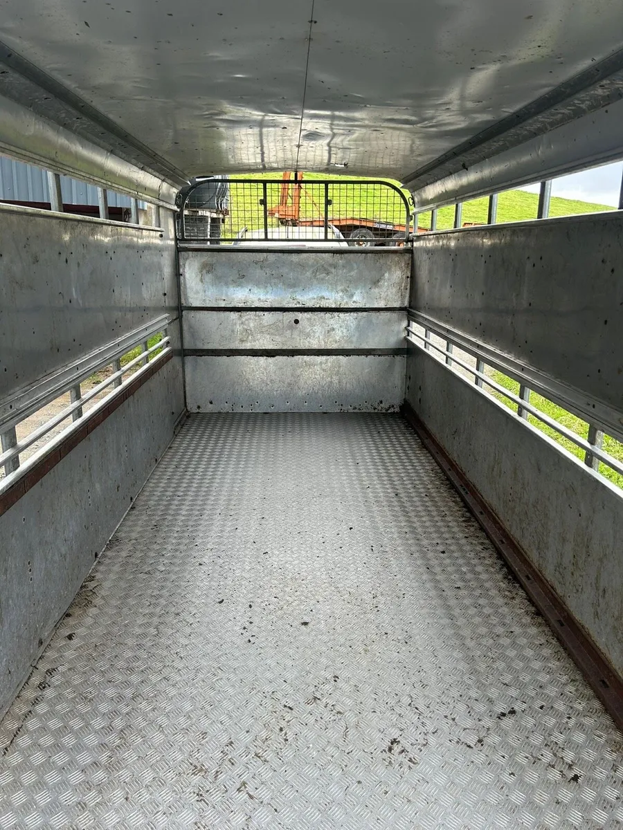 14ft ifor Williams cattle trailer - Image 3