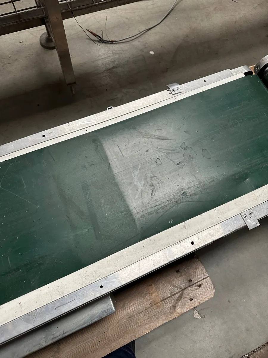 Conveyor Conveyors Powered - Image 3