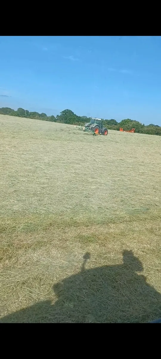 Horse haylage - Image 3