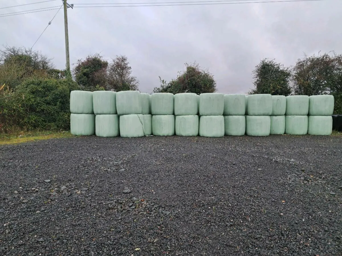 Horse haylage - Image 1