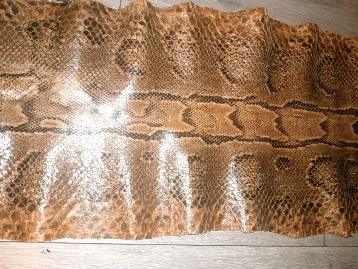 Genuine Python hide 4m long - Image 2