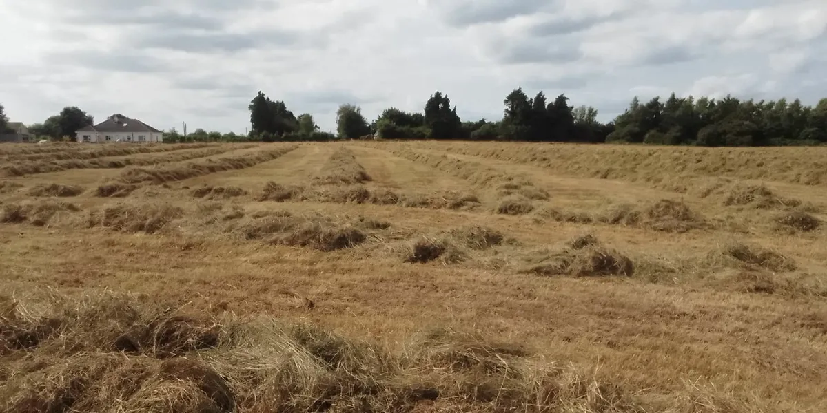 Bales of silage/haylage - Image 3