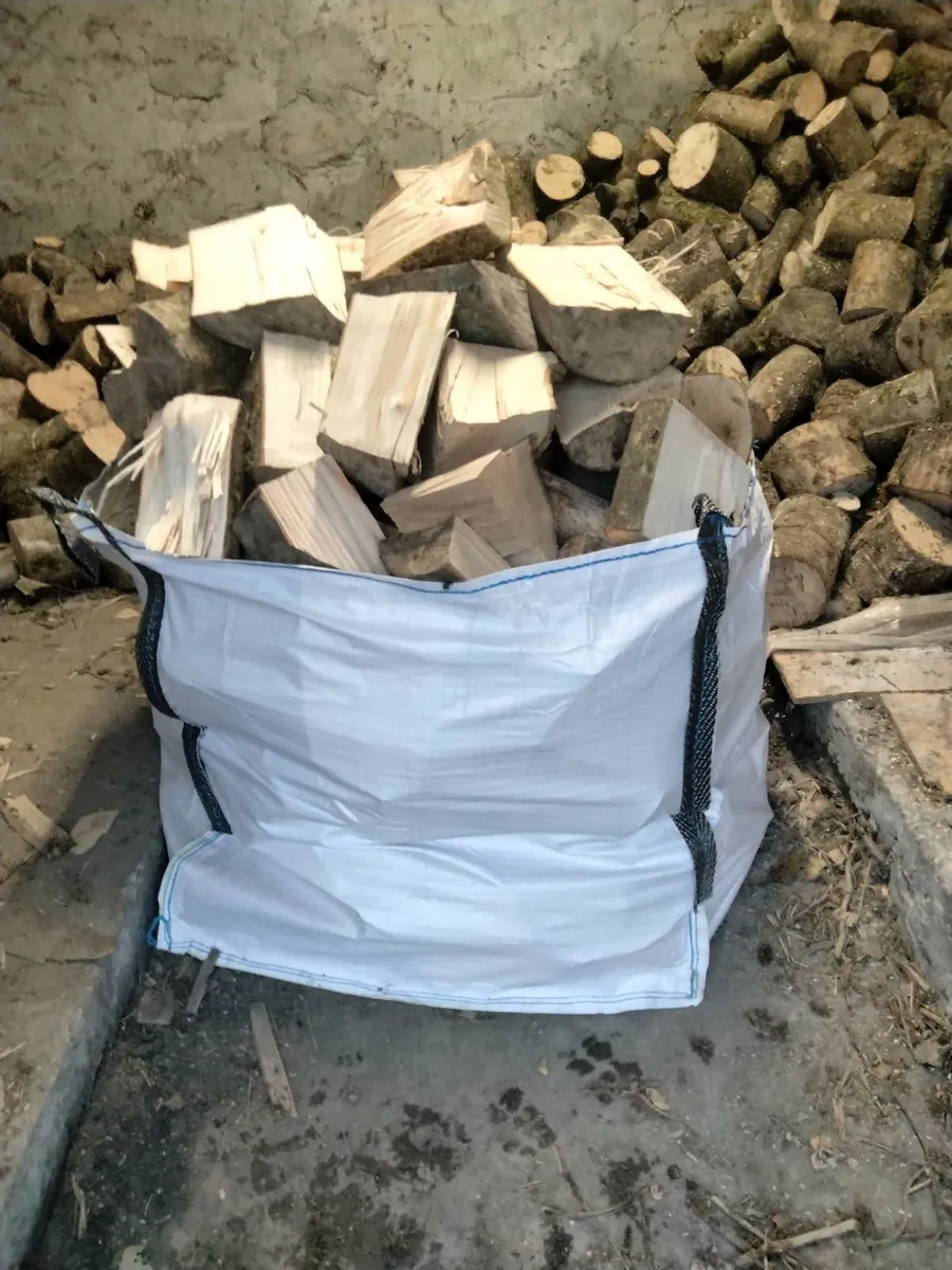 Seasoned and dried Ash firewood. - Image 3