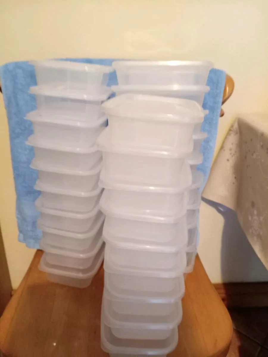 Freezer food boxes - Image 1