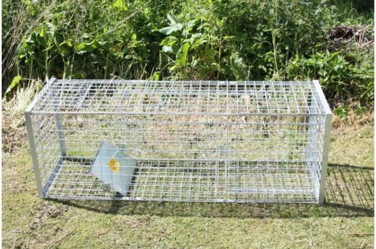Live Catch Fox Cage - Image 2
