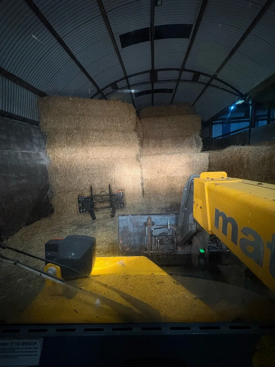 English straw - Image 1