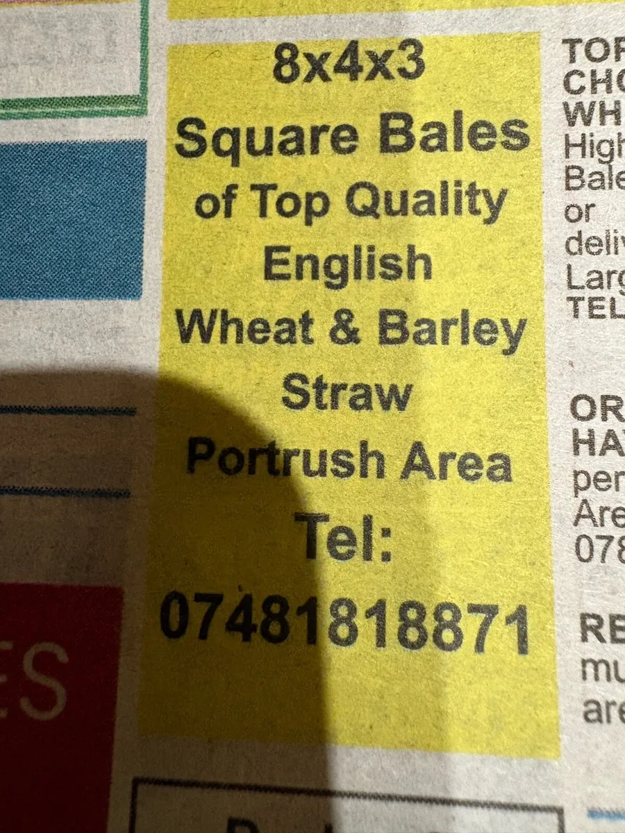 English straw - Image 4