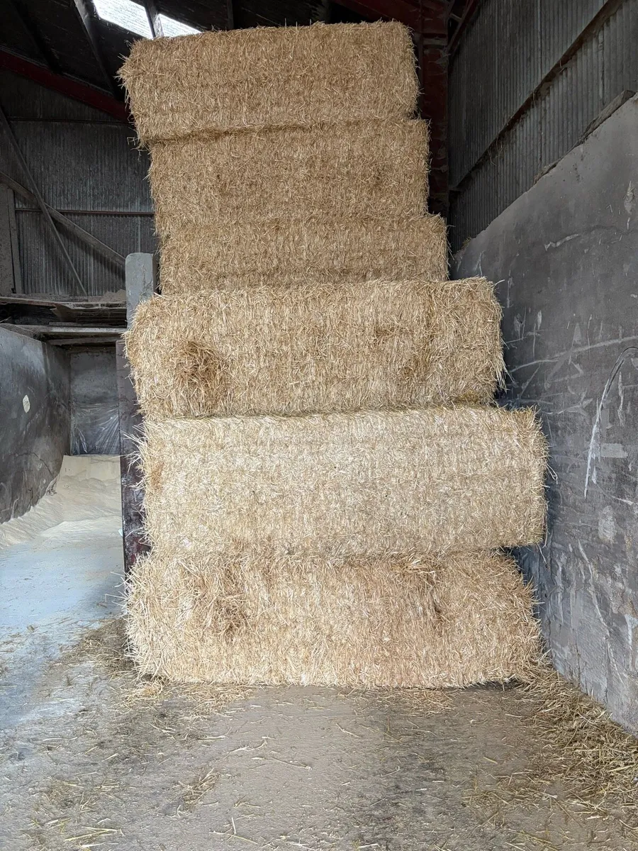 English straw - Image 2