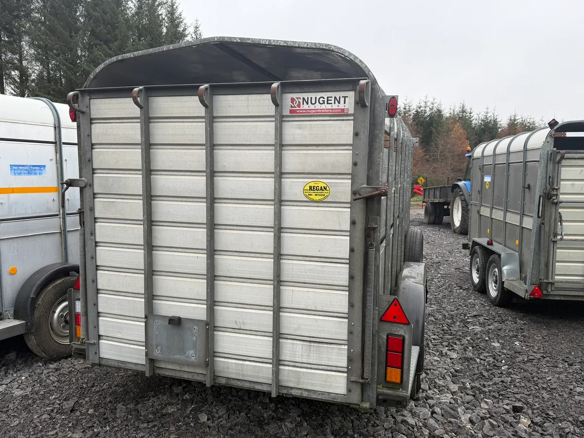 Nugent 12x6 Cattle Trailer - Image 4