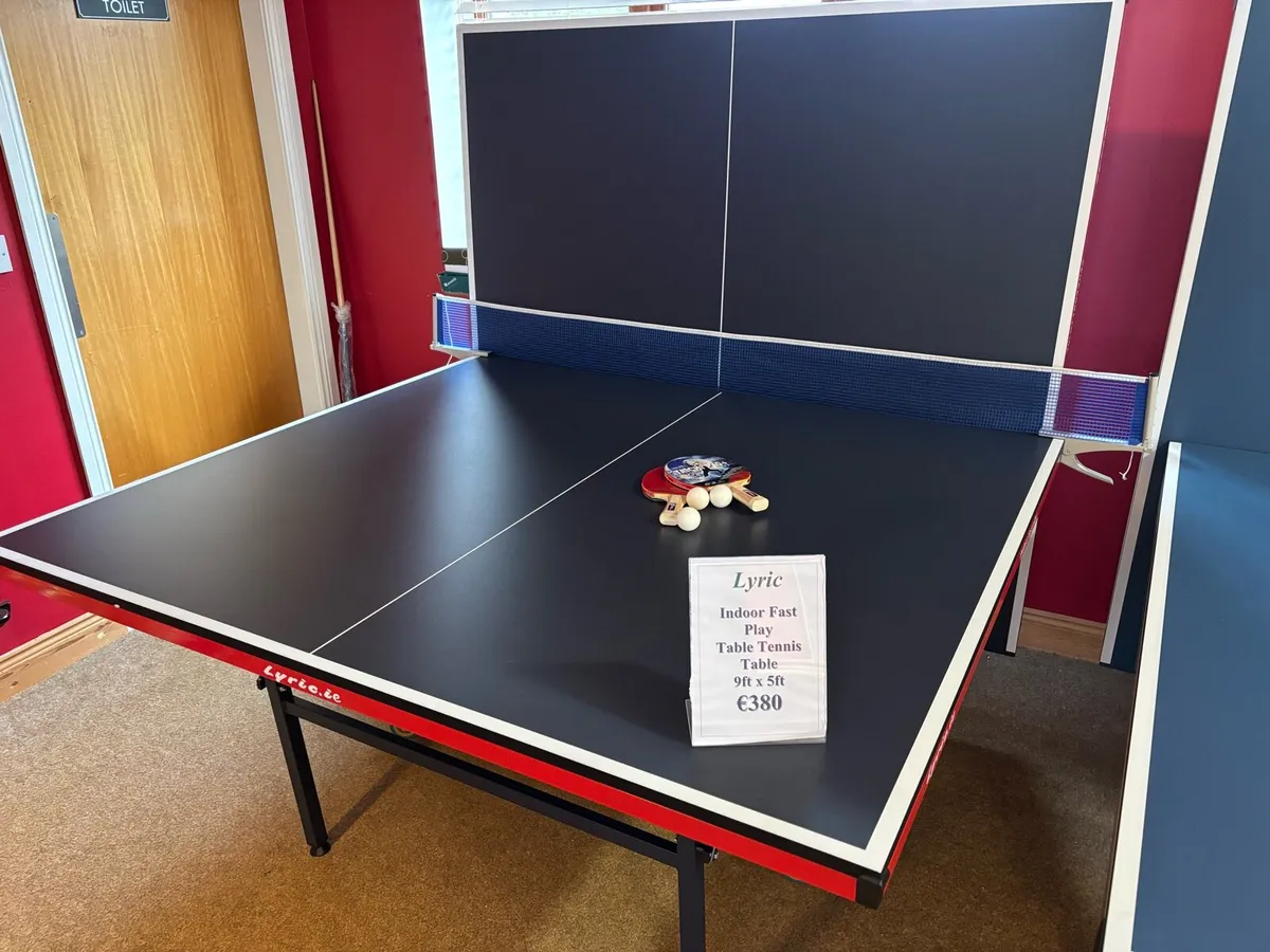 Table Tennis Tables - Image 1