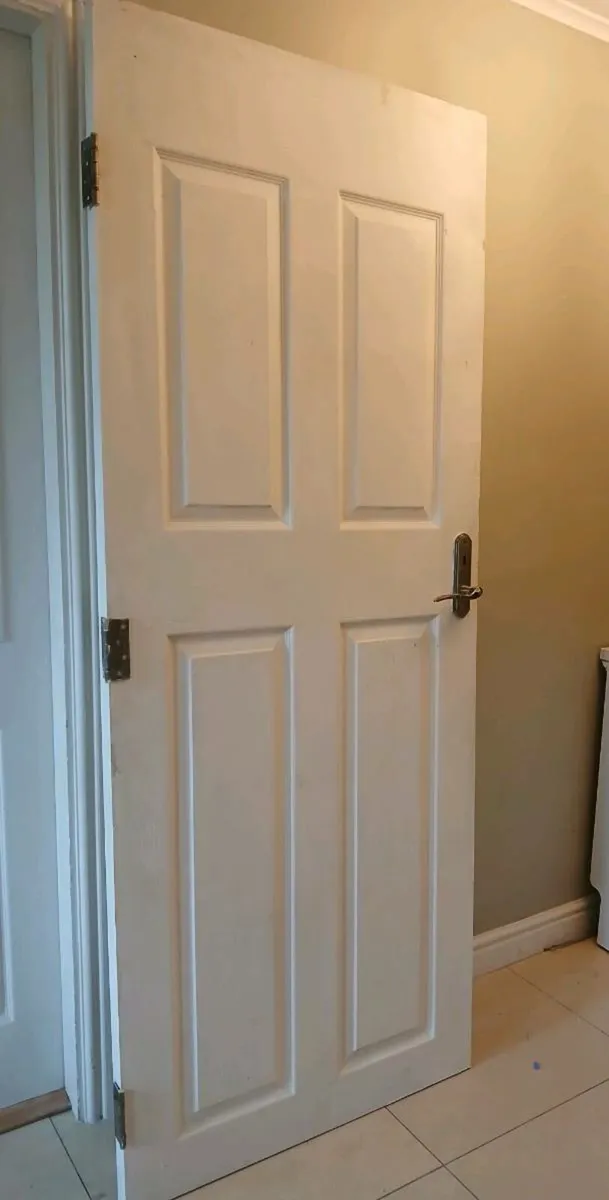 Free 28 & 32 inch doors - Image 1