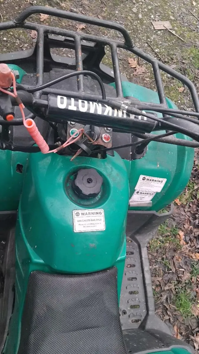 Quad 120 cc  forward and reverse quad - Image 2