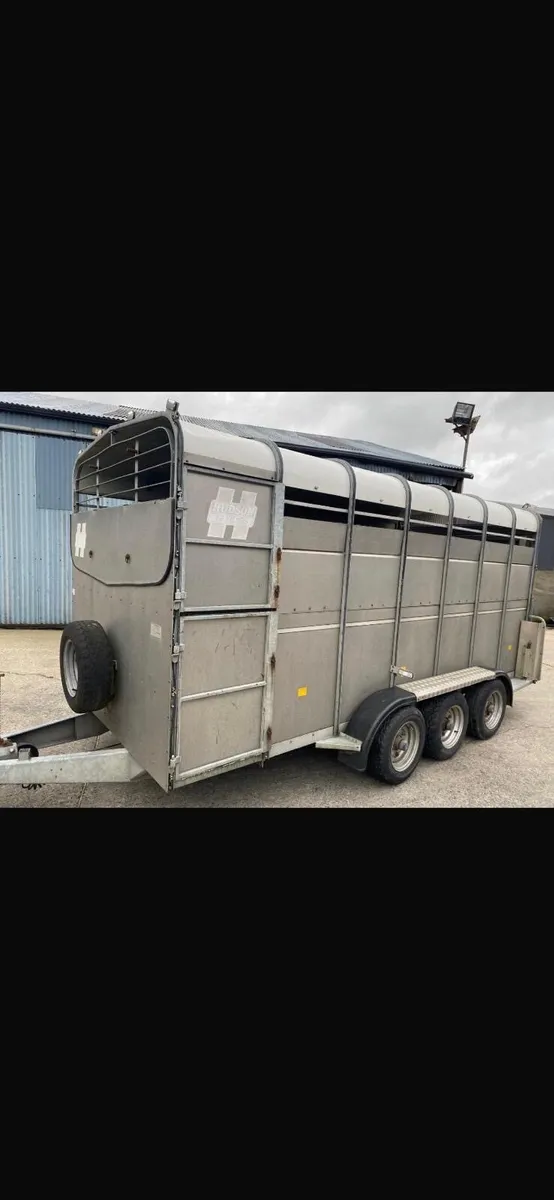 14ft Tri-Axle Cattle Trailer - Image 4