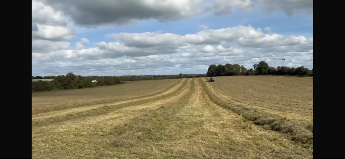 Round bales of silage - Image 2