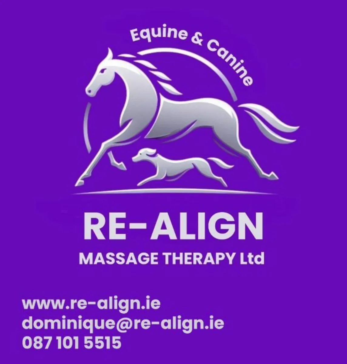 Massage therapy equine and canine - Image 1