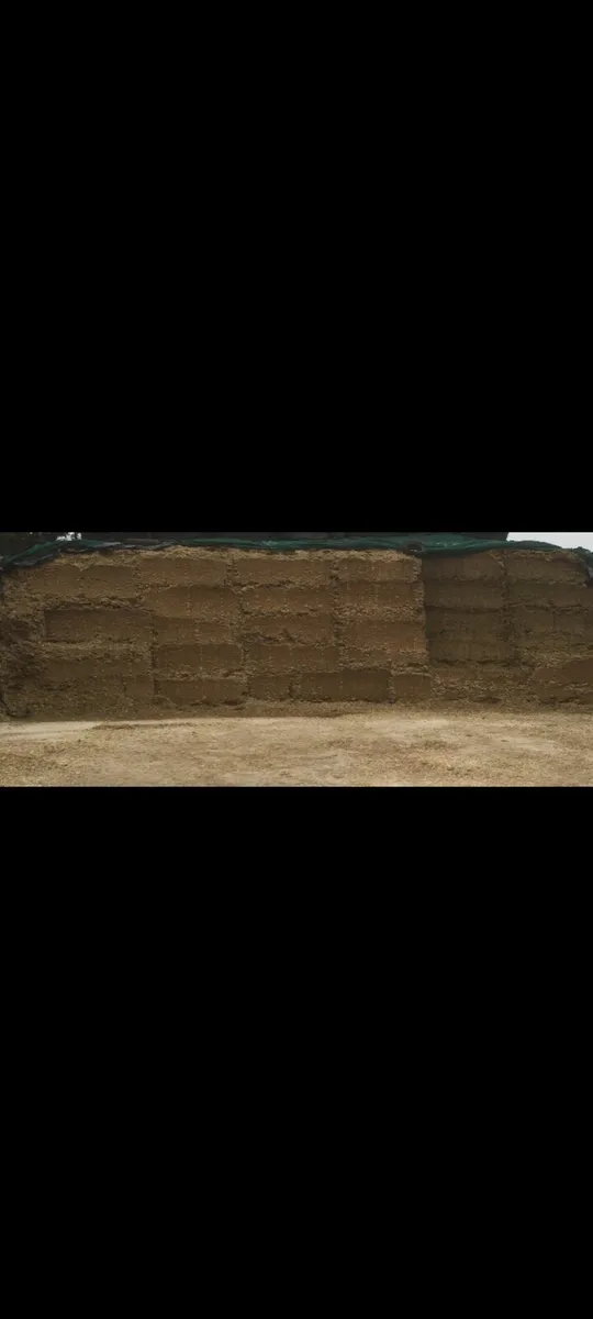 Pit silage 72DMD  for sale