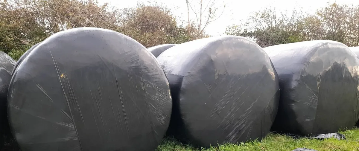 Haylage to clear!!!!. - Image 2