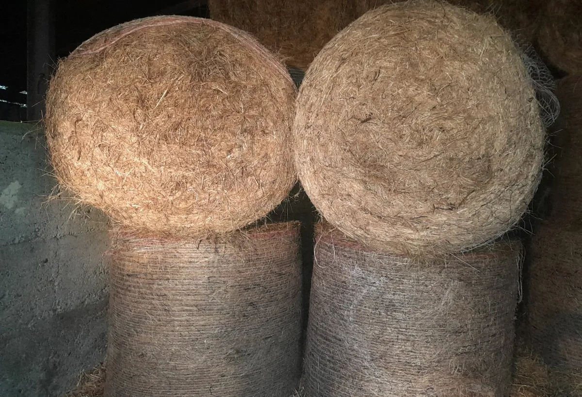 Haylage to clear!!!!. - Image 3